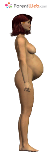 week 2 - pregnant belly